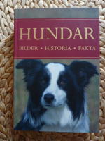 HUNDAR. BILDER, HISTORIA. FAKTA