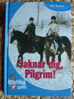 SAKNAR DIG, PILGRIM! MYSTERIEBOK 2005