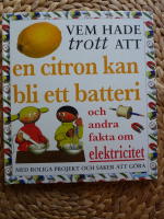 VEM HADE TROTT ATT EN CITRON KAN BLI ETT BATTERI