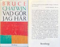 Vad g&ouml;r jag h&auml;r