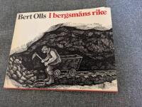 I bergsm&auml;ns rike