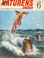 Naturens under 6- Djurens v&auml;rld i bild