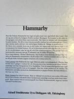 Hammarby