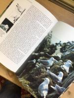 Djurens fantastiska v.