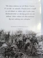 Slaget vid Monte Cassino