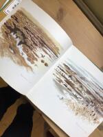 Skog : anteckningar fr&aring;n en gl&auml;nta