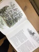 Skog : anteckningar fr&aring;n en gl&auml;nta