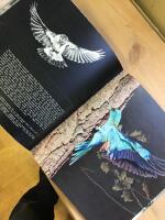 Europas Djurv&auml;rld - upplevd natur i 280 bolder