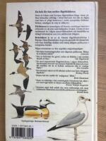 En f&auml;lthandbok &ouml;ver s&auml;llsynta f&aring;glar i Europa