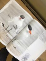 &Ouml;n : bilder fr&aring;n en sandrevel