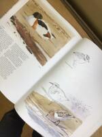 &Ouml;n : bilder fr&aring;n en sandrevel