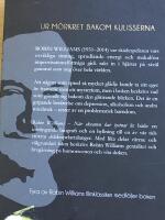 Robin Williams : n&auml;r skratten har tystnat