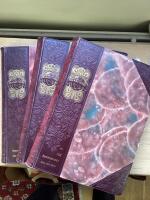 Det XIX &aring;rhundradet i ord och bild I-III