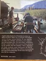 H&ouml;ga kusten : natur, m&auml;nniskor och tradition l&auml;ngs kusten fr&aring;n Sundsvall till &Ouml;rnsk&ouml;ldsvik - ett av Sveriges vackraste och mest s&auml;rpr&auml;glade landskap