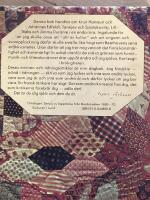 Brokigheten : minnen, uppsatser, k&aring;serier 1974-80