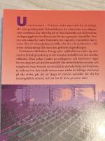 Sverige efter v&auml;lf&auml;rdskrisen : mellan hot och hopp