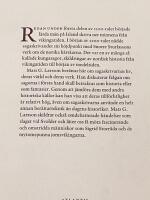 Minnet av vikingatiden : de isl&auml;ndska kungasagorna och deras v&auml;rld