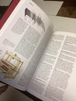 NE i tjugo band : en modern och komprimerad version av det stora uppslagsverket