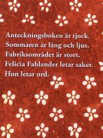 Fabriksomr&aring;desforskare Felicia Fahlander