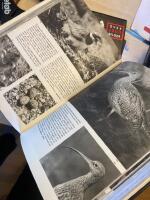 Den stora f&aring;gelboken