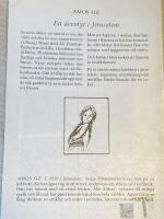 Ett &auml;ventyr i Jerusalem