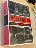 Den m&ouml;rka dalen : Panorama &ouml;ver 1930-talet