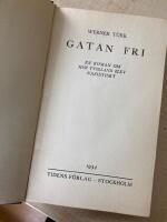 Gatan fri - en roman om hur Tyskland blev nazistiskt