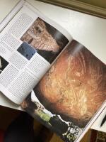 Historien om m&auml;nniskan - Jordens under och hemligheter