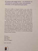 Att br&auml;nna eller bygga broar - en pilotstudie om interkulturell samverkan under internationella missioner ur ett organisationsperspektiv