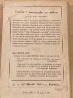 Under flammande norrsken