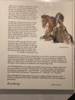 Adalbert Anderssons anor : en historiebok f&ouml;r barn