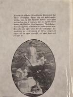 Jungfru vart tog du v&auml;gen? : roman