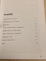 Sverige i krig igen : v&auml;gen in i Afghanistankriget