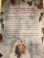 Knappt en droppe blod