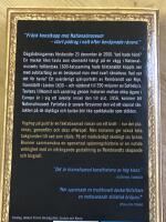 Yngling p&aring; guld