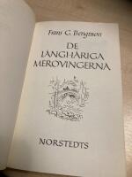 De l&aring;ngh&aring;riga merovingerna : S&auml;llskap f&ouml;r en eremit : essayer