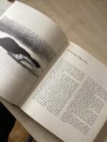 Surstr&ouml;mmingskusten och landet Nolaskogs