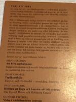 Konsten att ljuga och konsten att tala sanning : om Daniel Defoe och Robinson Crusoe