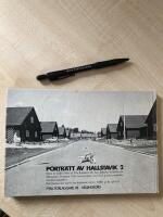 Portr&auml;tt av Hallstavik 2