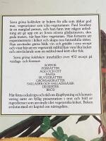 Stora gr&ouml;na kokboken