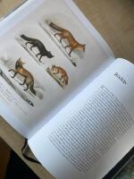 J&auml;gare och redskap : fr&aring;n koja till slott