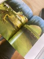 Ett vildare liv : en bok om det vildas &aring;terkomst