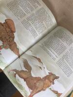 Gudar och hj&auml;ltar i nordisk mytologi