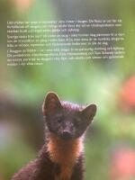 I Skuggan av tr&auml;den : liv i v&aring;ra vilda skogar