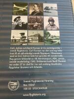 Flygdynastin Florman - Car&ouml;, Adrian och Bertil Florman pionj&auml;rer i svensk flyghistoria