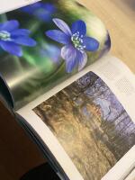 &Aring;ret runt : naturen, v&auml;dret & de svenska &aring;rstiderna