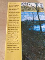 Det &auml;r mycket med det jordiska : roman