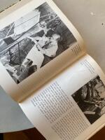 Five viking ships from Roskilde fjord