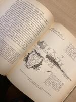 Ut&ouml; &auml;n som var ett paradis