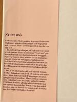 Svart sn&ouml; : en teaterroman